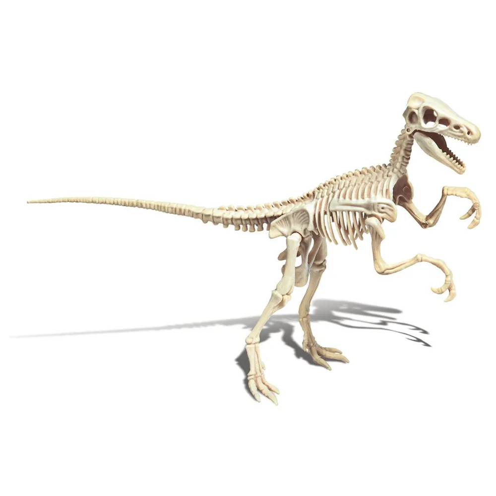 Clementoni Archéo Ludic Vélociraptor^ Botanique Et Géologie