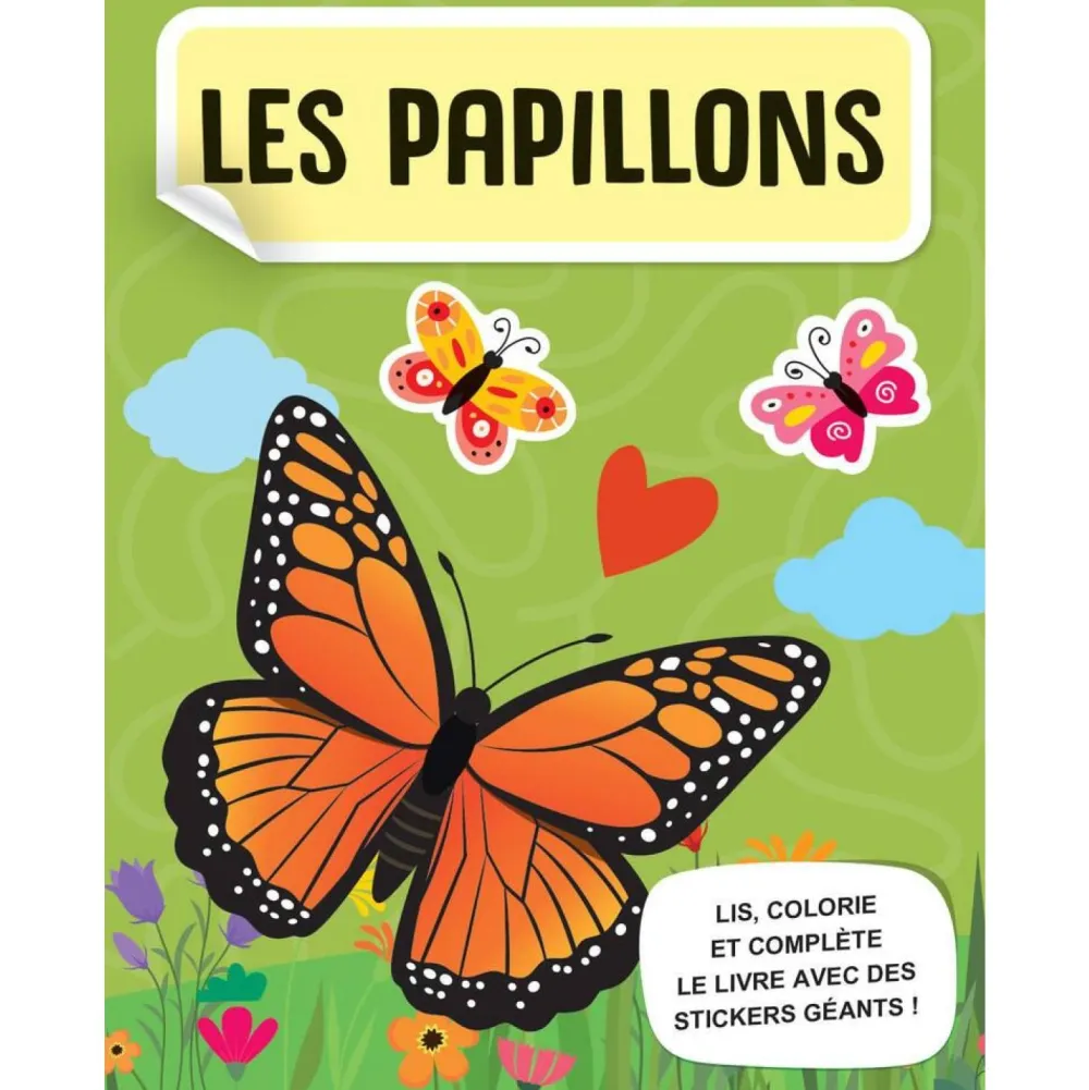 Sassi Coffret Mega Arts et crafts les papillons^ Autres Activités Créatives