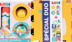 Ludi Coffret Sensoriel - 9 Dalles Animaux^ Tapis, Portiques Et Tables D'Activités