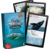 Bioviva Défis Nature : Animaux Marins^ Jeux De Voyage|Quiz Et Devinettes