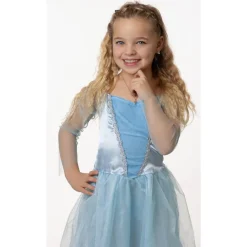 Déguisement Princesse Adèle 5-7 ans^ Déguisements Princesses Et Fées