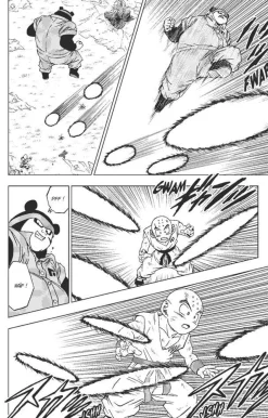 Hachette Dragon Ball Super - Manga Tome 13 : Combats divers^ Les Héros Et Personnages
