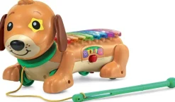VTech Elton mon rouli xylophone^ Jouets D'Éveil Électroniques