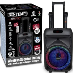 Bontempi Enceinte 300 watts sans fil^ High Tech Et Multimédia