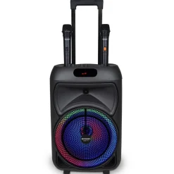 Bontempi Enceinte 300 watts sans fil^ High Tech Et Multimédia