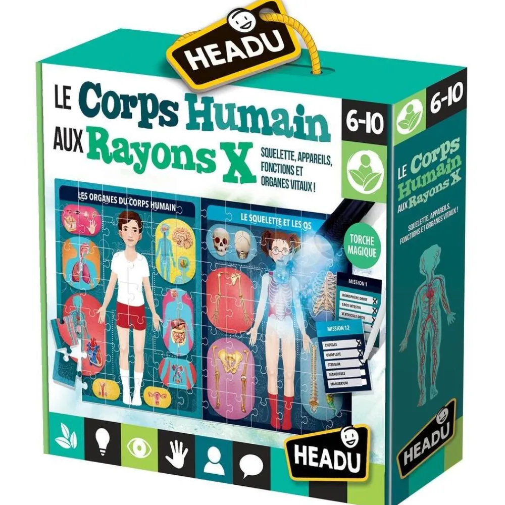 Headu Exploration Du Corps Humain Via Les Rayons X -^ Botanique Et Géologie