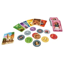 Asmodu00e9e Jaipur Nouvelle édition^ Jeux De Stratégie Et De Réflexion