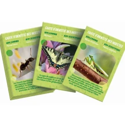 Clementoni La maison des insectes^ Botanique Et Géologie