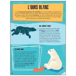 Sassi La Planète En Danger - Les Glaces^ Puzzles De 100 À 499 Pièces