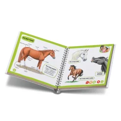 Ravensburger Mini doc Tiptoi chevaux et poneys^ Stylos Interactifs