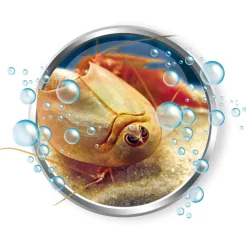 Clementoni Mini Triops^ Autres Jeux Scientifiques