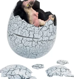 Oeuf De Croissance Dinoworld 20 Cm^ Dinosaures