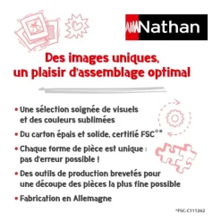 Nathan Puzzle 1000 pièces Les albums d'Astérix - Collection Mes héros^ Puzzles De 1000 À 1499 Pièces