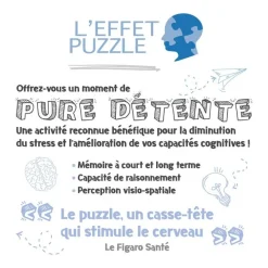 Nathan Puzzle 1000 pièces Les albums d'Astérix - Collection Mes héros^ Puzzles De 1000 À 1499 Pièces