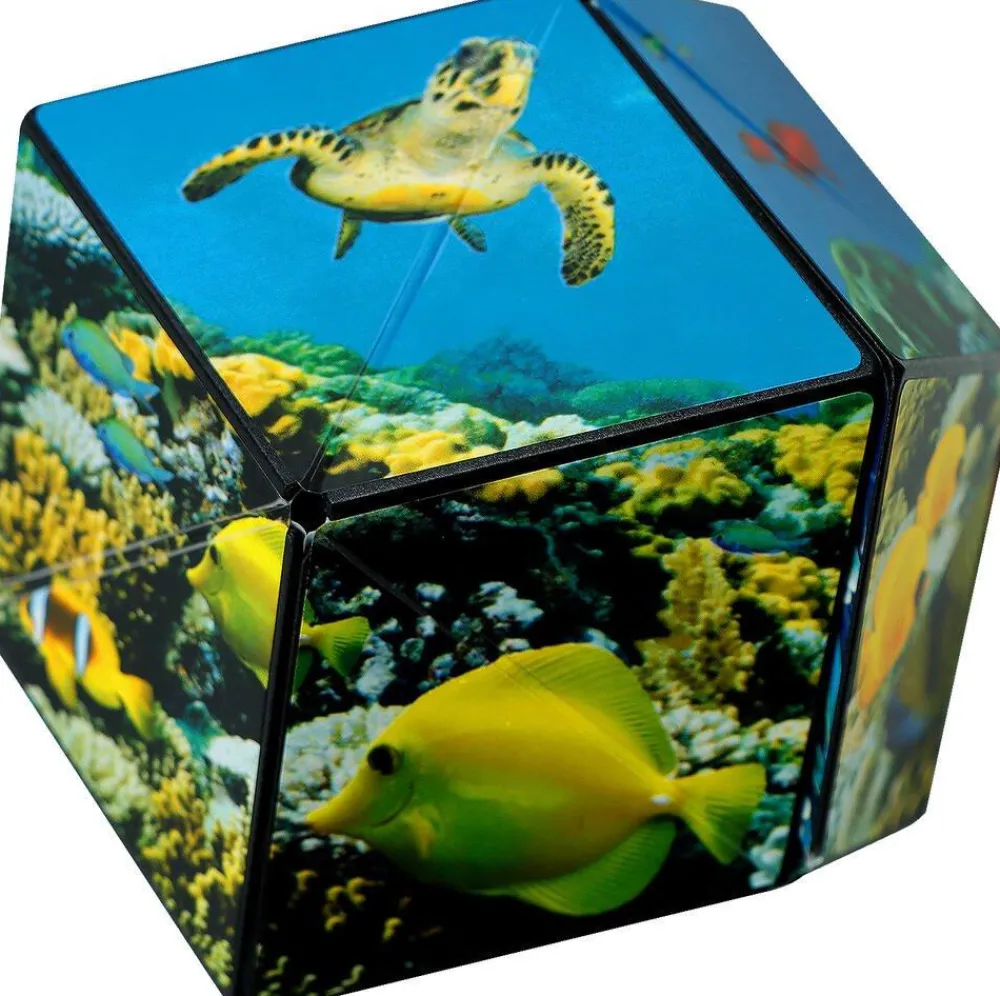 Blackrock Shashibo Ocean - Casse Tête 3d^ Jeux De Stratégie Et De Réflexion