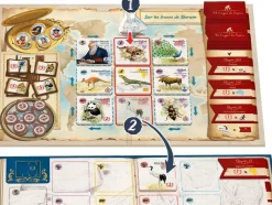 Gigamic Sur les traces de Darwin^ Jeux De Stratégie Et De Réflexion